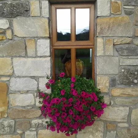 Oda ve Kahvaltı Ballinaboy Carrick on Shannon